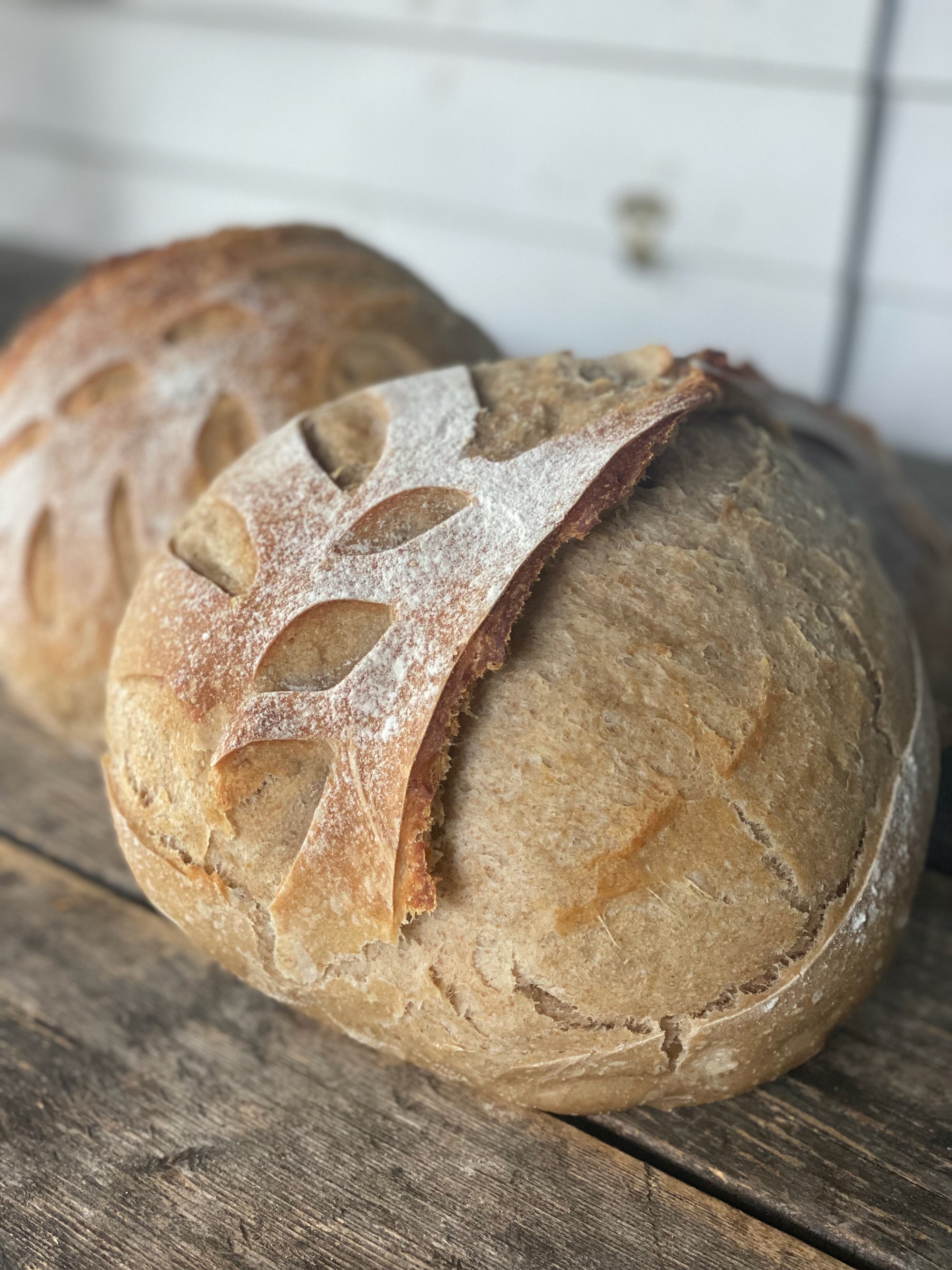 Organic Artisan Sourdough Bread
