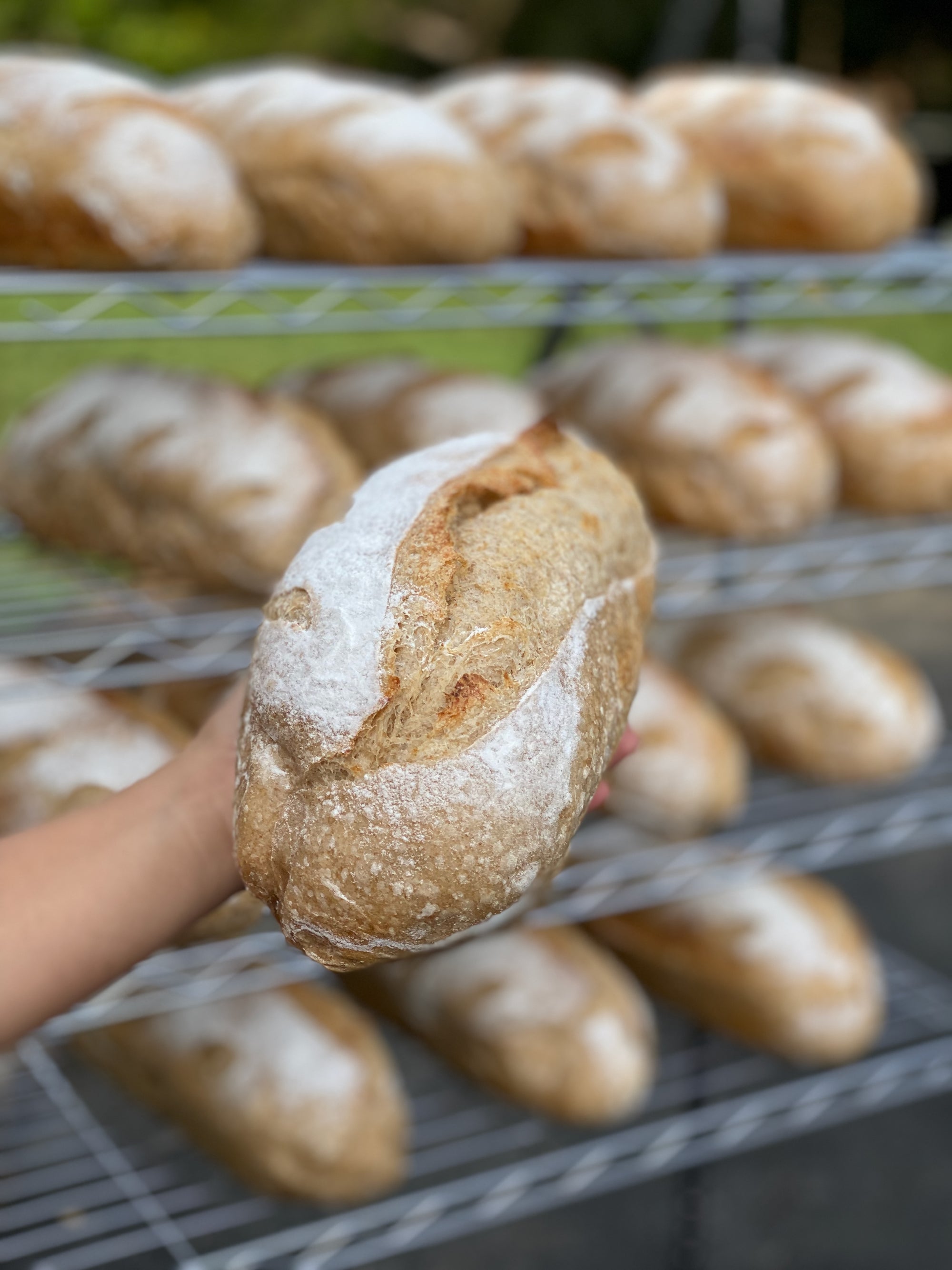 Organic Sourdough Sandwich Bread